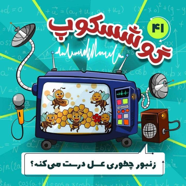 جلد کتاب صوتی زنبورعسل چطوری عسل درست می‌کنه؟