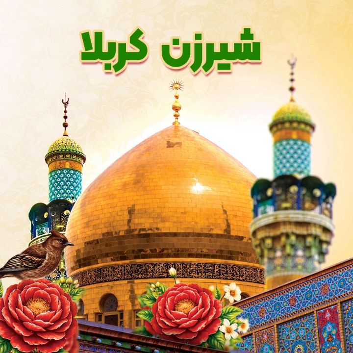 جلد کتاب صوتی شیرزن کربلا