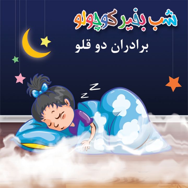 جلد کتاب صوتی برادران دو قلو