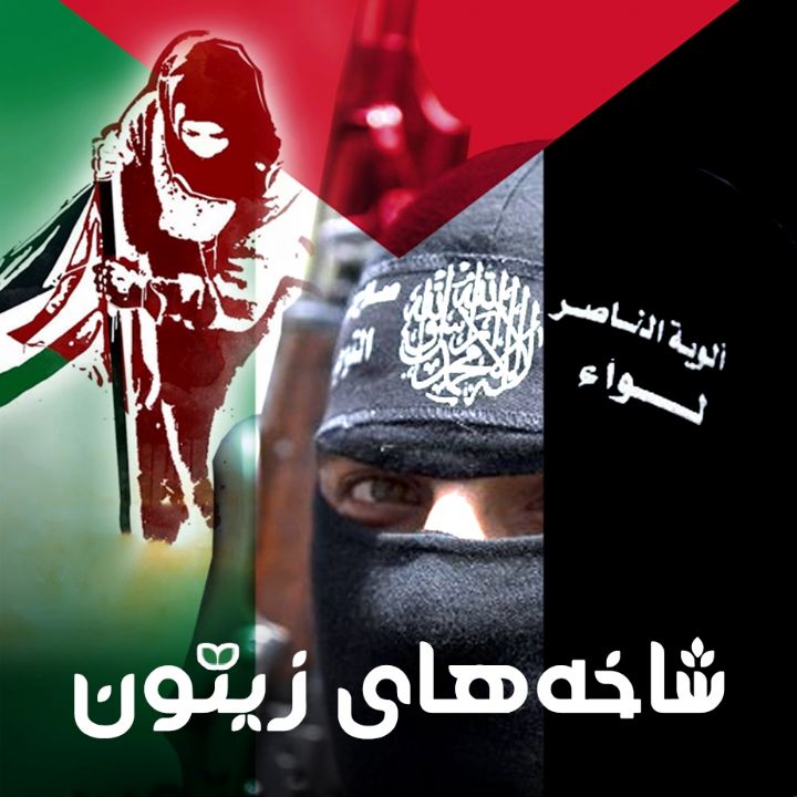 جلد کتاب صوتی شاخه های زیتون