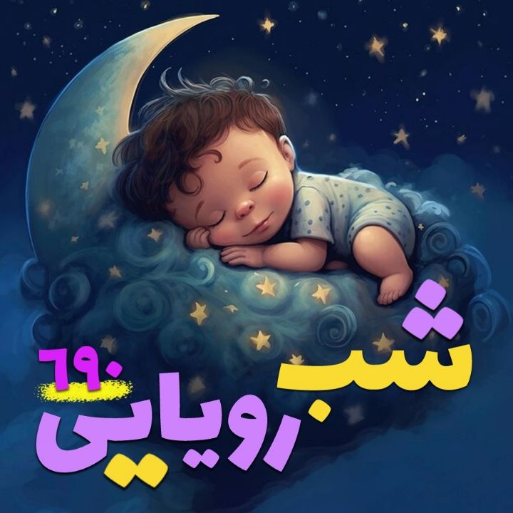 جلد کتاب صوتی شب رؤیایی 690
