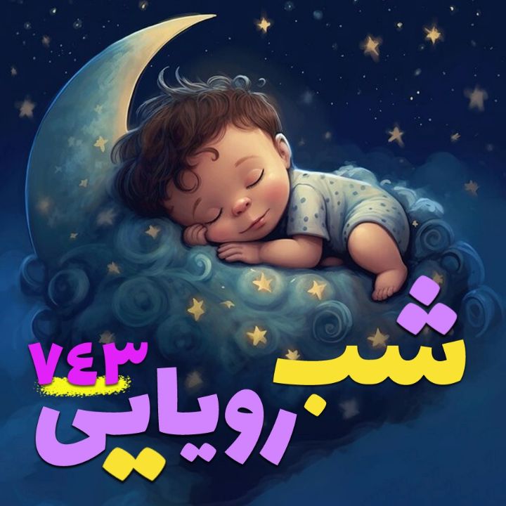 جلد کتاب صوتی شب رویایی 743