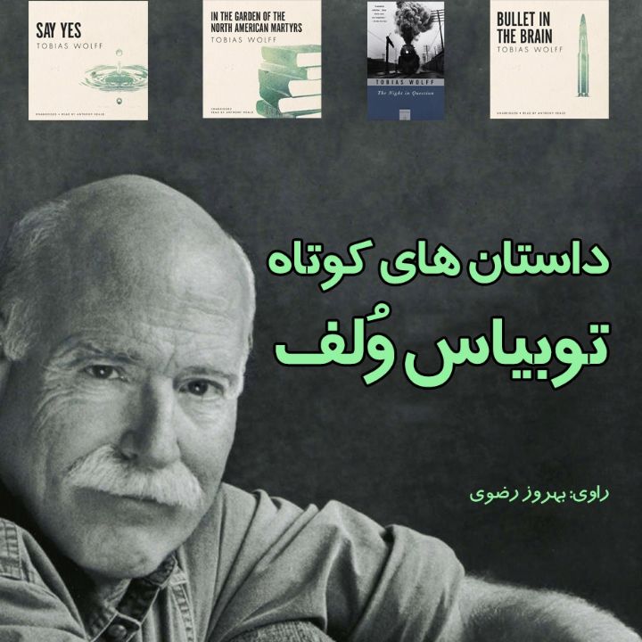جلد کتاب صوتی داستان های کوتاه توبیاس وُلف