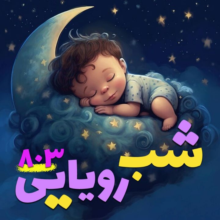 جلد کتاب صوتی شب رویایی 803