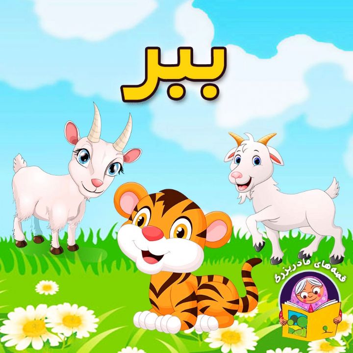 جلد کتاب صوتی ببر (75163)
