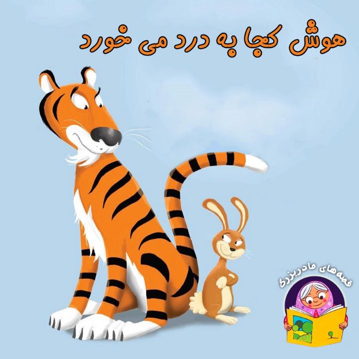 جلد کتاب صوتی هوش کجا به درد می خورد
