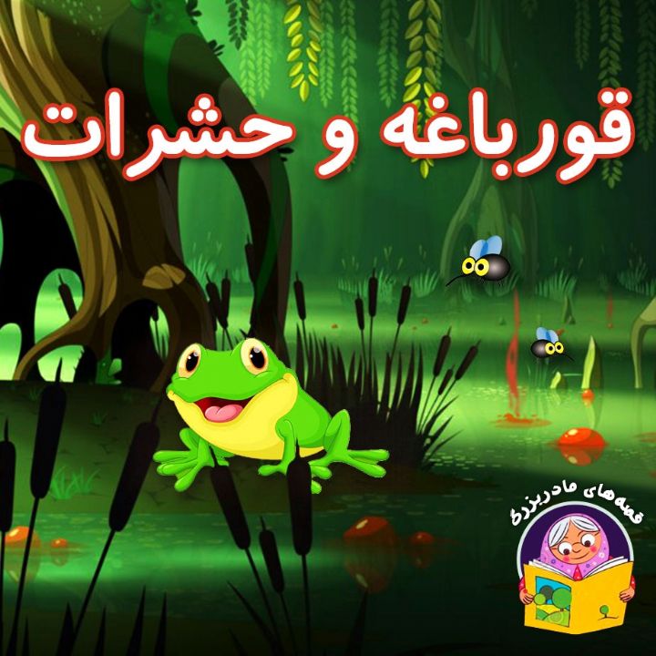 جلد کتاب صوتی قورباغه و حشرات