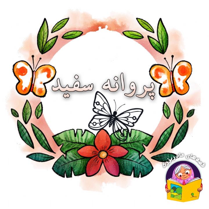 جلد کتاب صوتی پروانه ی سفید