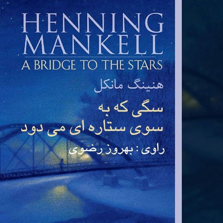 جلد کتاب صوتی سگی که به سوی ستاره ای می دود