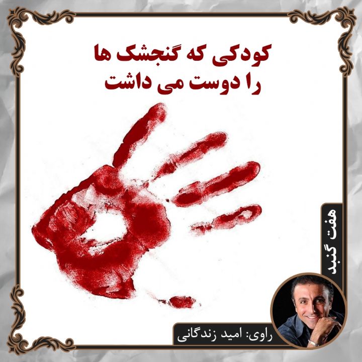 جلد کتاب صوتی کودکی که گنجشک ها را دوست می داشت