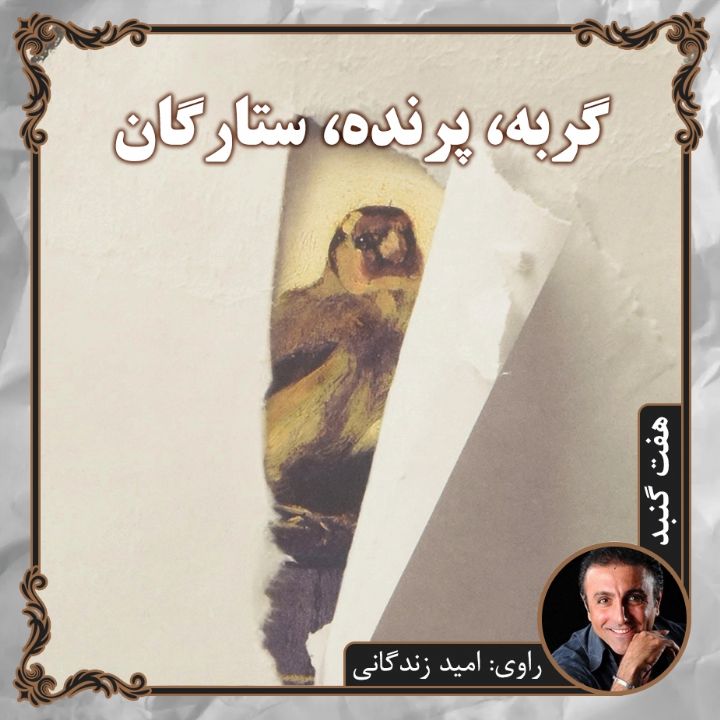 جلد کتاب صوتی گربه، پرنده، ستارگان